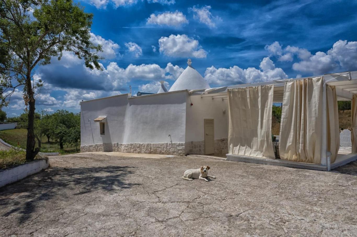 הוילה מרטינה פרנקה Trulli Gianfelice מראה חיצוני תמונה